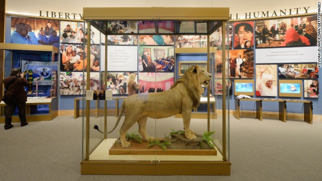 Tanzanian President Jakaya Kikwete presented this lion, here presented at the library, to George W. Bush during his trip to Africa in 2008.