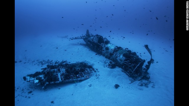 A Vought F4U Corsair ended up in Hawaiian waters a few years after World War II ended. The bent-wing Corsair was a fighter-bomber that saw service on aircraft carriers. Even in their death, Eckell finds the airplanes to be beautiful, still majestic while lost in nature's vastness.