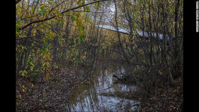 Eckell says he is more concerned with a plane's juxtaposition with nature than its actual condition. The wing of a Fairchild C-119 Flying Boxcar slices the Alaskan wilderness, where it has rested since 1981.