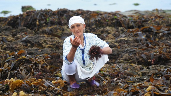 A Moroccan woman gathers red seaweed in the coastal town of Moulay Abdellah on August 9, 2009. The red algae is treated and used as a stabilizing agent in meat and fish, baked goods and dairy products.