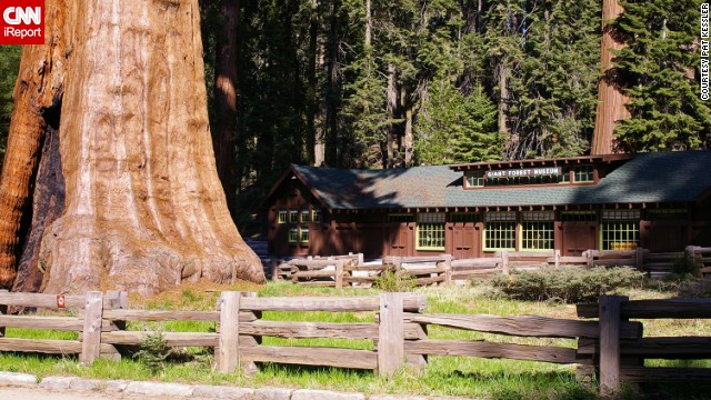 The giant trees of Sequoia National Park overwhelm a building. "At times, you lose perspective of their size," said Pat Kessler. "Occasionally seeing a human or a building nears the trees brings their awesomeness back into focus." See more photos on <a href='http://ireport.cnn.com/docs/DOC-800508'>CNN iReport</a>.