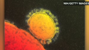 New SARS-like virus is a 'threat to the entire world ...