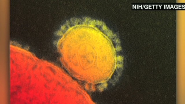 Newly discovered virus spreads