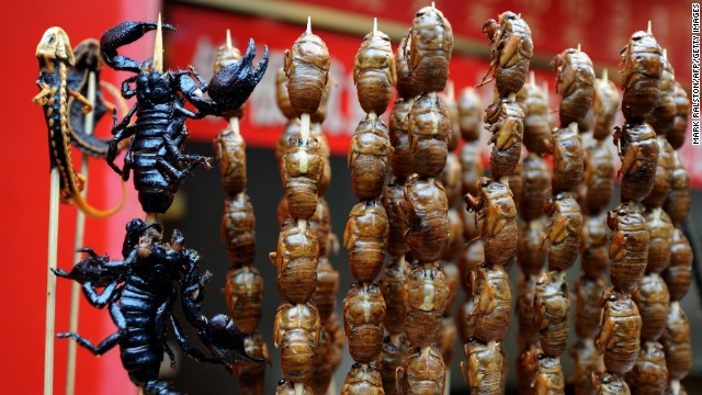 U.N: Eat insects, save the world