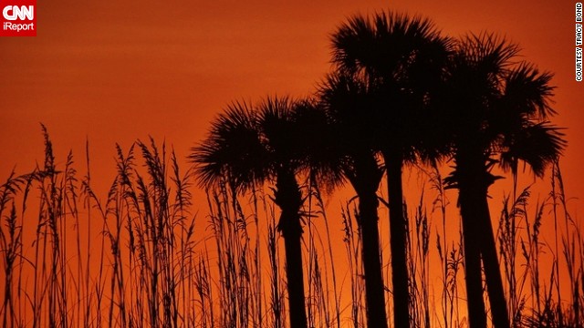 Tracy Bond captured an orange sunrise that <a href='http://ireport.cnn.com/docs/DOC-808145'>engulfed the morning sky</a> while on vacation in Destin, Florida.