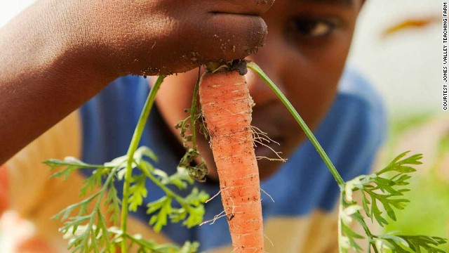 Young minds bloom on an urban farm