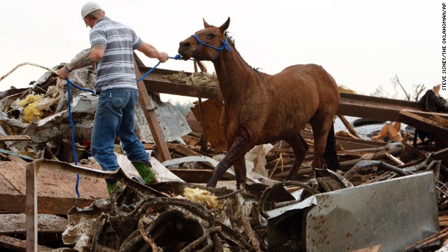 A rescue worker leads a horse from the wreckage of a day care center and barns on Monday, May 20, in Moore.