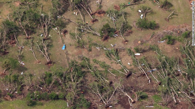 Large trees were uprooted and flattened.