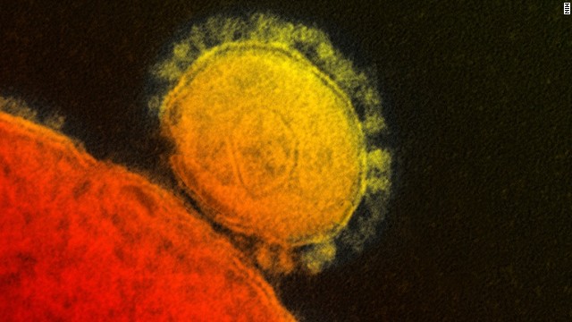 The MERS coronavirus was first reported in spring 2012. 