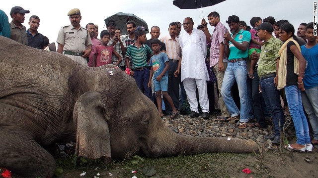 Trenes amenazan la vida de los elefantes en India