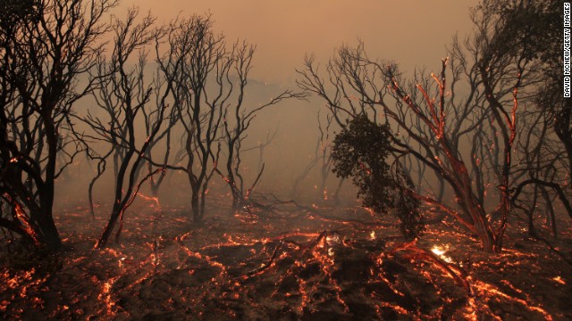 Brush glows immediately after the main fire front sweeps through on its way toward Lake Hughes on June 1.