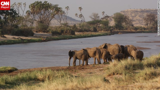 Elephants enjoy a drink at <a href='http://ireport.cnn.com/docs/DOC-955646'>Shaba National Reserve</a>, where films like "Out of Africa" and "Born Free" were filmed.