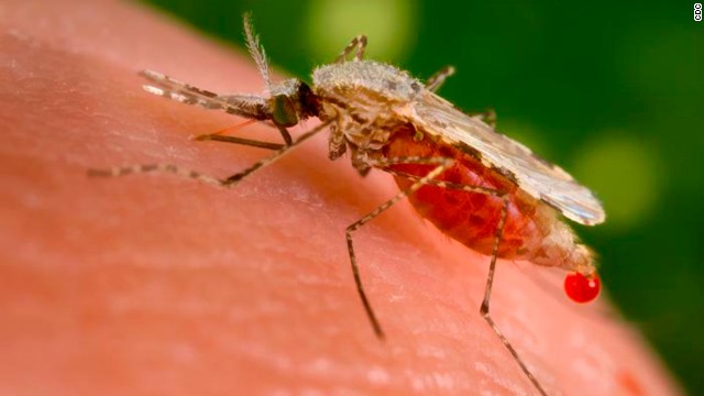 <strong>Malaria at its deadliest:</strong> Malaria-infected mosquitoes killed an estimated 660,000 people in 2010. <a href='http://www.cnn.com/changethelist'>Vote here.</a>