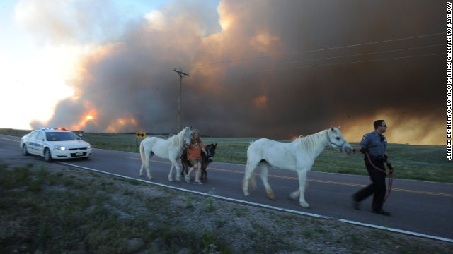 El Paso County Sheriff's Deputy Dan Cukowski helps Linda Davies walk her livestock out from the evacuated area in Colorado Springs on June 11.