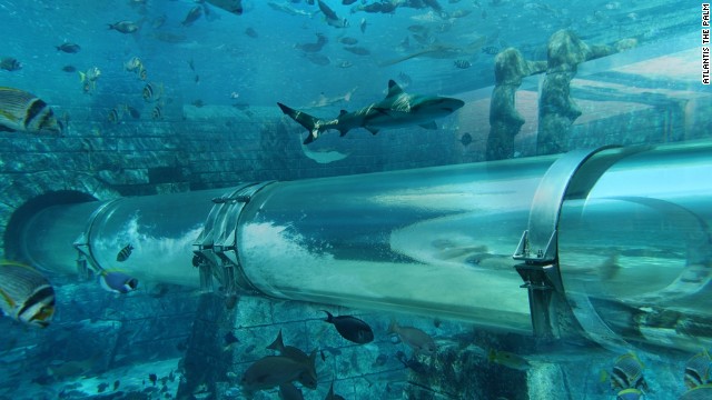 Dubai has long been obsessed with unusual theme parks. One of the city's landmark tourist destinations is Aquaventure at the Atlantis Hotel on the Palm island. The Shark Attack ride -- whereby visitors slide through a shark-filled aquarium -- is particularly popular. 