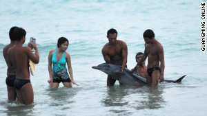 Chinese netizens were outraged when photos surfaced of tourists posing with a dying dolphin in Hainan in June.
