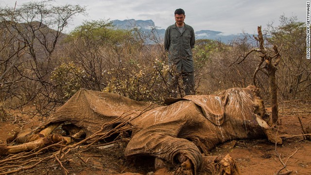 Chinese basketball star and conservationist Yao Ming looks at the carcass of an elephant killed for its tusks in Kenya.