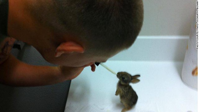 caring for orphaned bunnies