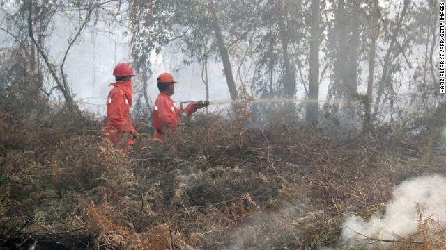 Indonesian firefighters from the Forest Ministry battled forest fires on June 20 in Pekanbaru, the capital of Riau province on Sumatra island.