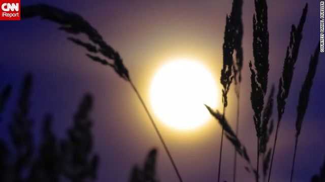 <a href='http://ireport.cnn.com/docs/DOC-993827'>Daniel Mueller</a> shot this image of the supermoon in Portland, Oregon, as it peeked through the grass stalks. Also an amateur astronomer, Mueller says, "I find that photography and astronomy are both contemplative and humbling pursuits."