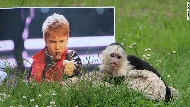 Alemania da un nuevo hogar al mono de Justin Bieber