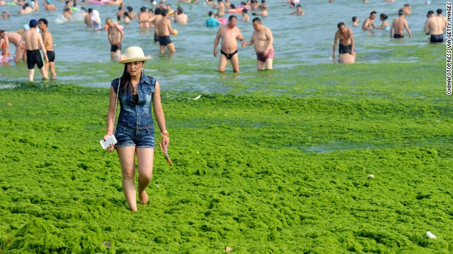 Tourists play at a beach covered by a thick layer of green algae on July 3 in Qingdao.