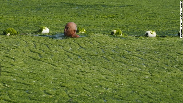 Chinese officials have blamed past algae outbreaks on unusually warm seas. But scientists say that agricultural waste, industrial pollution, and human sewage are often to blame.