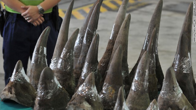 Poaching rates have soared recently in South Africa, home to about 75% of the world's rhinos. Rhino horns are being sold for a top dollar in parts of southeast Asia, where they are believed to cure all kinds of conditions.