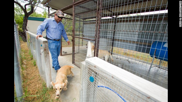 Despite being dozens of miles away from the border, ranchers near Falfurrias, Texas, must secure their property from those crossing the border illegally. Here, Isaias Marquez cares for the dogs that patrol El Tule Ranch, where he works. 