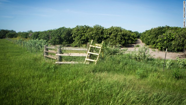 Ranchers and farmers often build ladders over their fences in hopes that migrants won't damage the fences when crossing. 