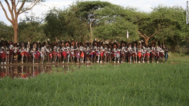 One of the most culturally distinct tribes of Africa, the Maasai move around in bands, grazing their cattle in the rich grassland plains of East Africa they've been calling home for centuries.