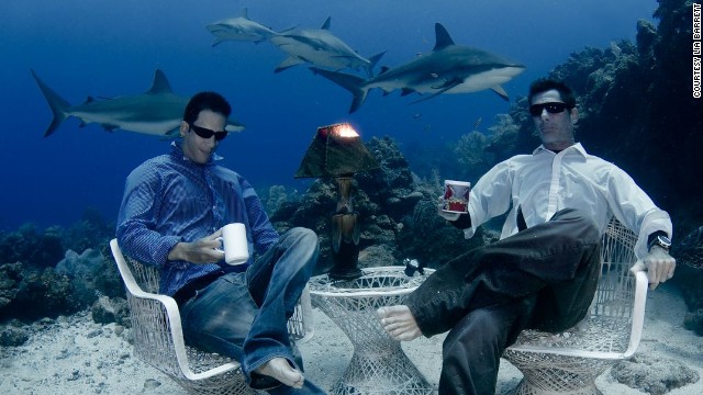 No, no es un Photoshop: Estos buceadores toman café con los tiburones bajo el mar