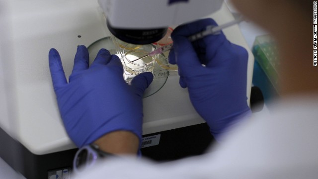 In 2005, Connecticut and Illinois designated state funds to support stem cell research in their states. Above, a woman works on stem cells at the University of Connecticut's Stem Cell Institute at the UConn Health Center in August 2010 in Farmington, Connecticut.