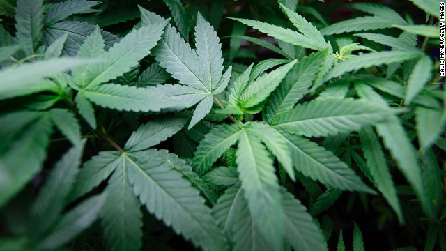 Majority in Colorado say legal marijuana good