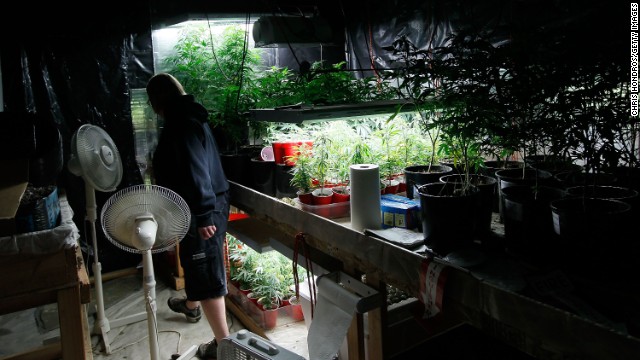 Sonja Gibbins walks through her growing warehouse in Fort Collins, Colorado, on April 19, 2010. Since the state approved medical marijuana in 2000, Colorado has seen a boom in marijuana dispensaries, trade shows and related businesses. So far 20 states and the District of Columbia have made smoking marijuana for medical purposes legal.