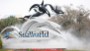 SeaWorld expects record revenue for 2013