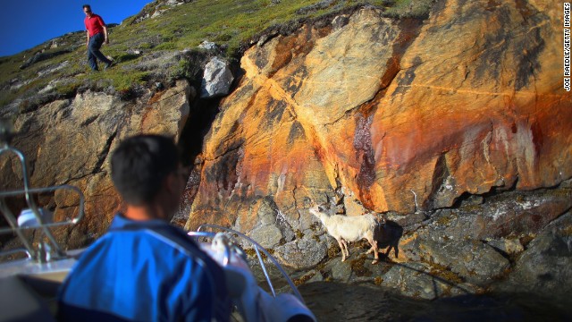 "We're used to change,'' said Greenlander Pilu Neilsen. "We learn to adapt to whatever comes. If all the glaciers melt, we'll just get more land." Nielsen and his brother Kunuk, piloting the boat, try to capture a goat that became stuck at the bottom of a cliff near the water on the family's farm on July 30 in Qaqortoq.