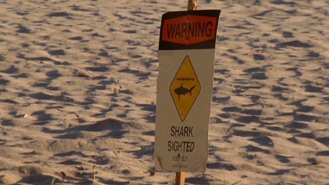 Turista alemana muere después de haber sufrido un ataque de tiburón en Hawai