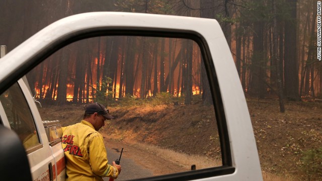 A Cal Fire firefighter monitors the Rim Fire as it burns through a stand of trees near Groveland on August 25. 