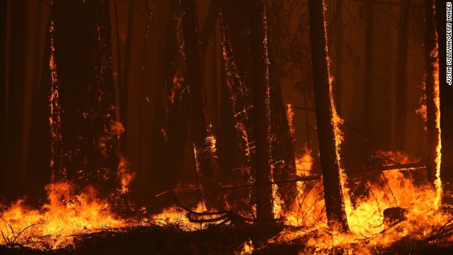 Fierce flames from the Rim Fire burn near Groveland, which is near Yosemite National Park.