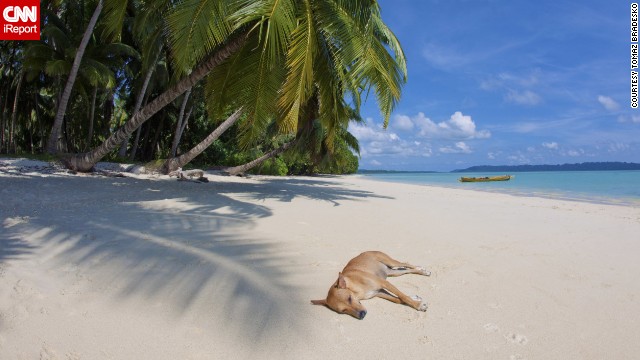 A local dog naps on one of the beaches of <a href='http://ireport.cnn.com/docs/DOC-939889'>Havelock Island</a>, located in the Bay of Bengal. The island "is a very laid-back place with gorgeous beaches and great diving spots," said Tomaz Bradesko, who shot this photo. "There are not many tourists there, and sometimes you feel like you are on a private island."