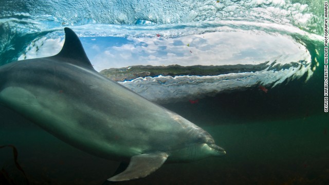 Top surfer finds 'biggest swell