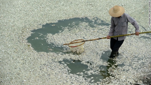 The dead fish were found over a 40-kilometer stretch of the river. 