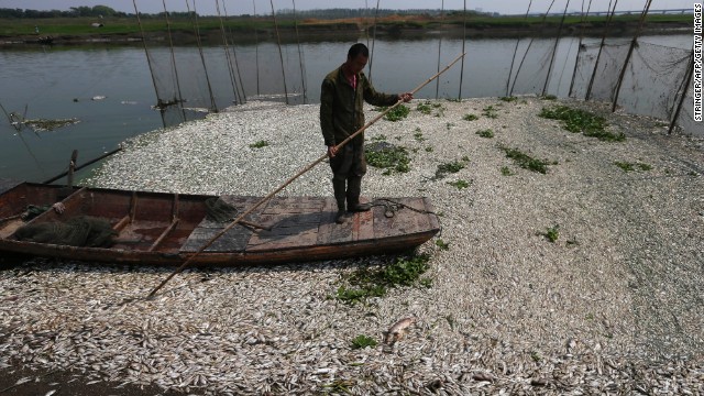 A fisherman makes his way through the fish-clogged river. 