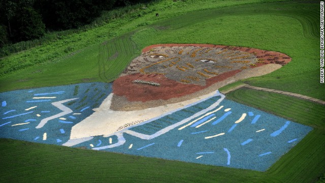 An aerial view of a van Gogh self-portrait, was recreated with plants and wood chips, in a field in Nuenen in the Netherlands.