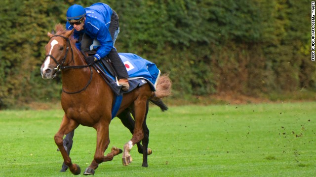 Japan's best bet at Longchamp this year is Orfevre, which has competed there before and is among the favorites to win a race that has become an obsession for his country's punters.