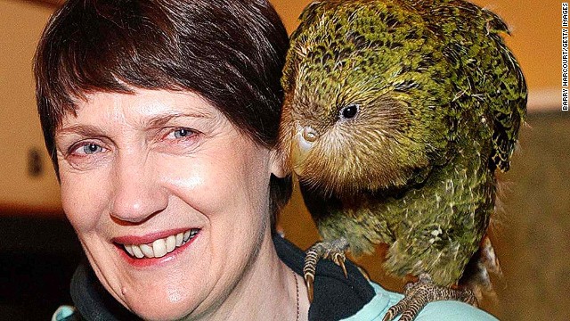 On the right you'll notice a somewhat ugly bird named the kakapo, a critically endangered parrot. It's the only flightless parrot in the world and has very muscular thighs, according to the British Science Association. On the left is former New Zealand Prime Minister Helen Clark. 