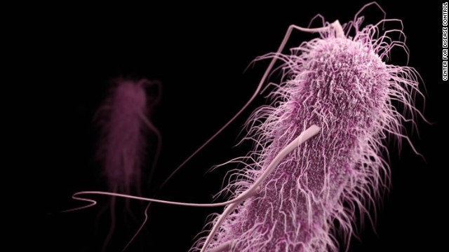 Extended-spectrum β-lactamase (ESBLs)