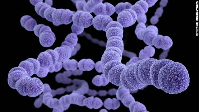 Drug-resistant Streptococcus pneumoniae