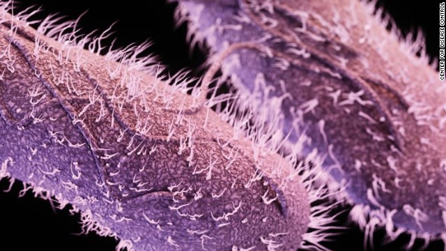 Drug-resistant non-typhoidal salmonella